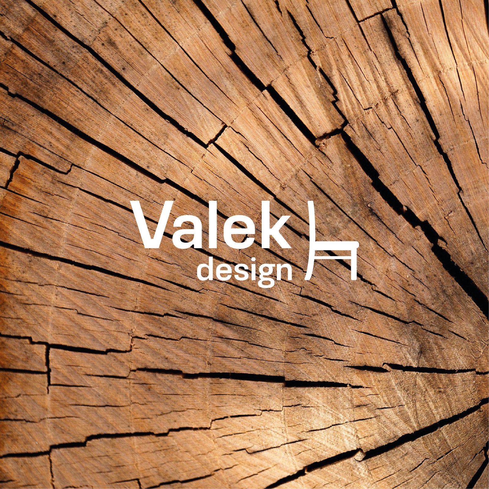 Logo Valek design